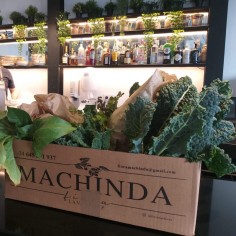 Caja de verduras Machinda